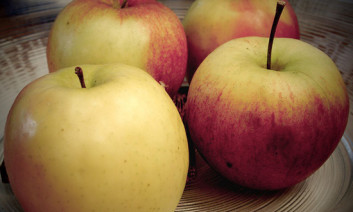 Apples. Photo by Wolfgang Lonien